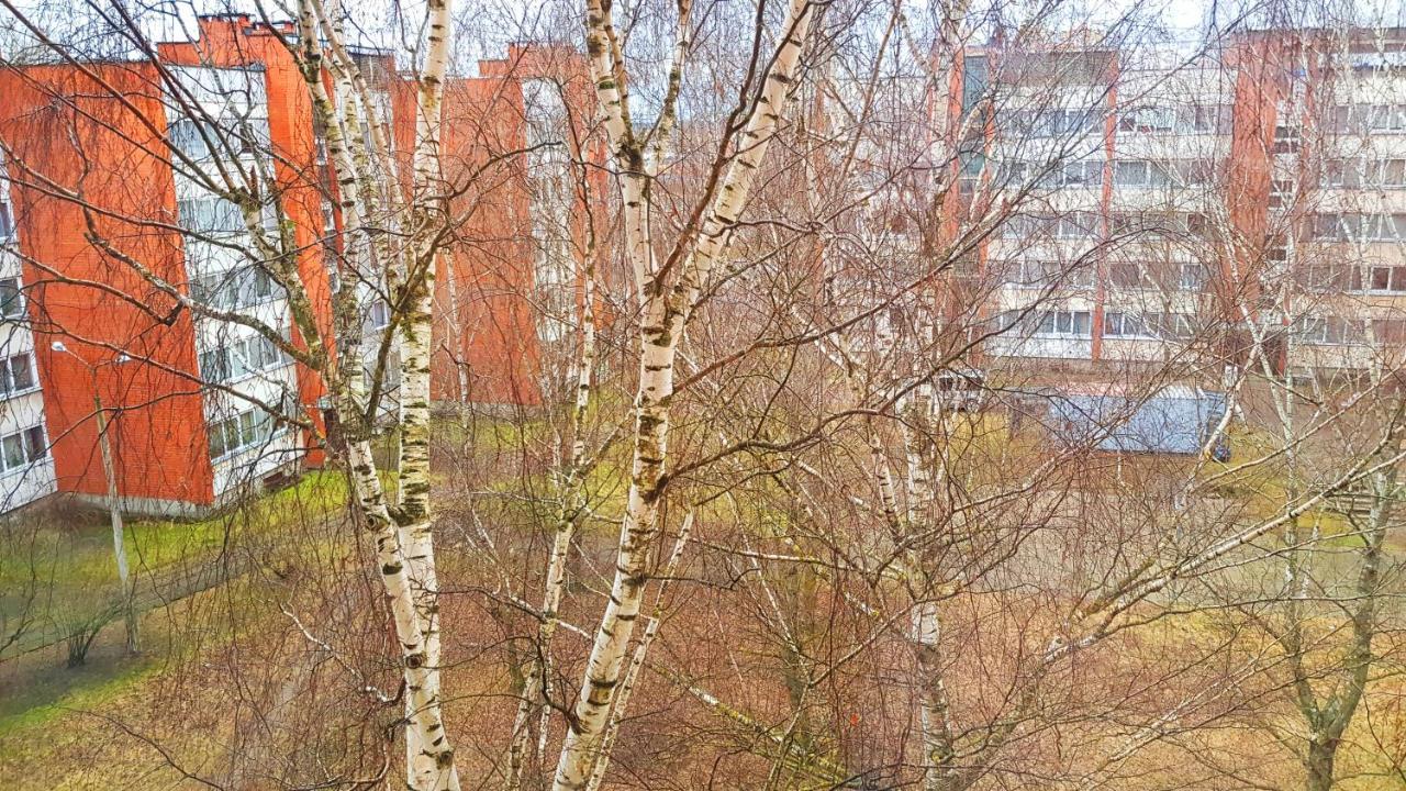 Birch View Apartment Jelgava Exterior photo